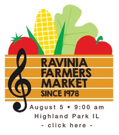 patch.ravinia.08.05.26