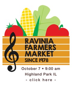 patch.w.ravinia.10.07.26